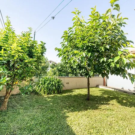 Casa De Palmeira By House And People Tatil Evi *