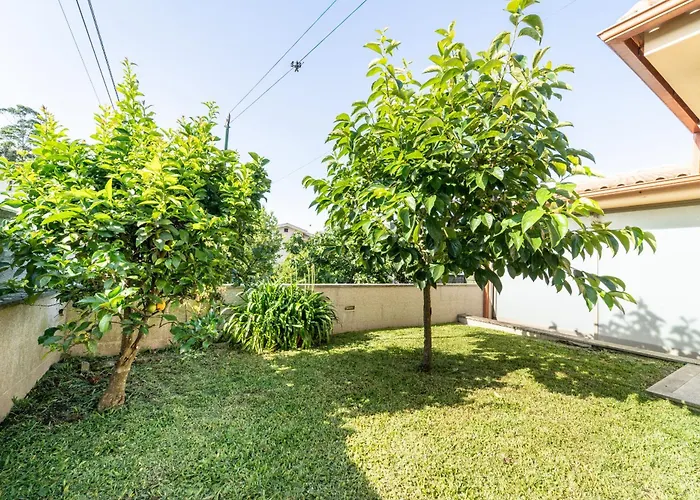 Casa De Palmeira By House And People Σπίτι διακοπών *